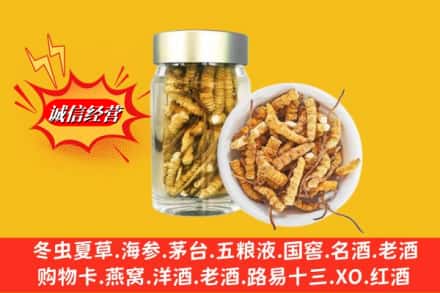宣化区回收散虫草