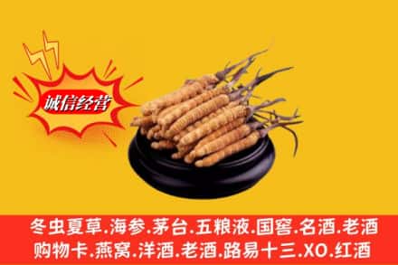 宣化区名酒回收冬虫夏草.jpg